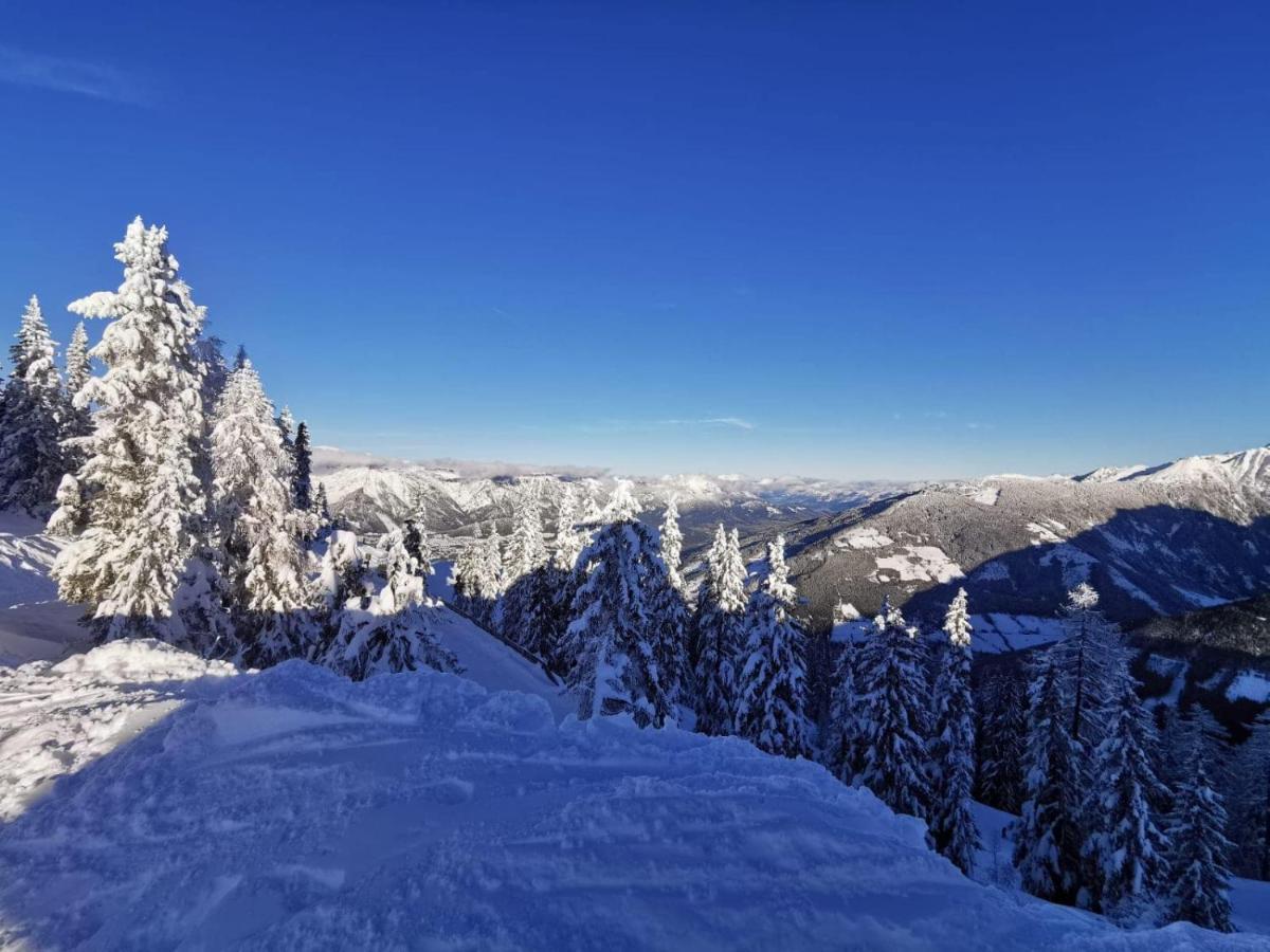 Wilma Apartment Schladming