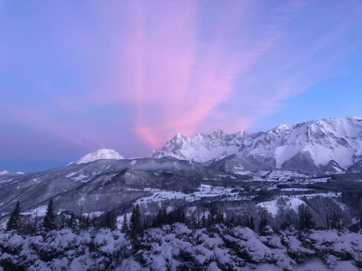 Wilma Apartment Schladming